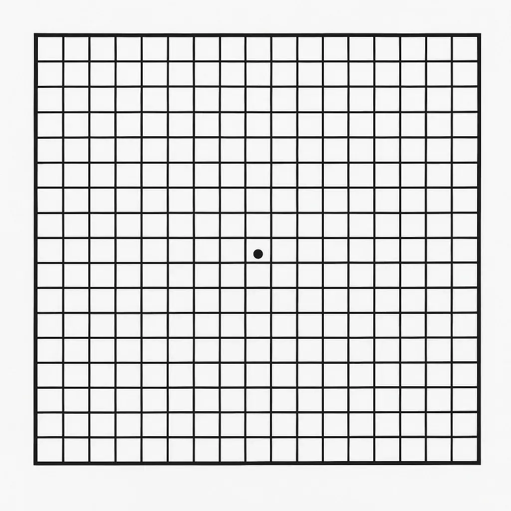 AmslerGrid-100x100-1 AmslerGrid-100x100-1